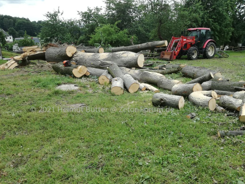 Einsatz bei Sturmschaden 2017.jpg