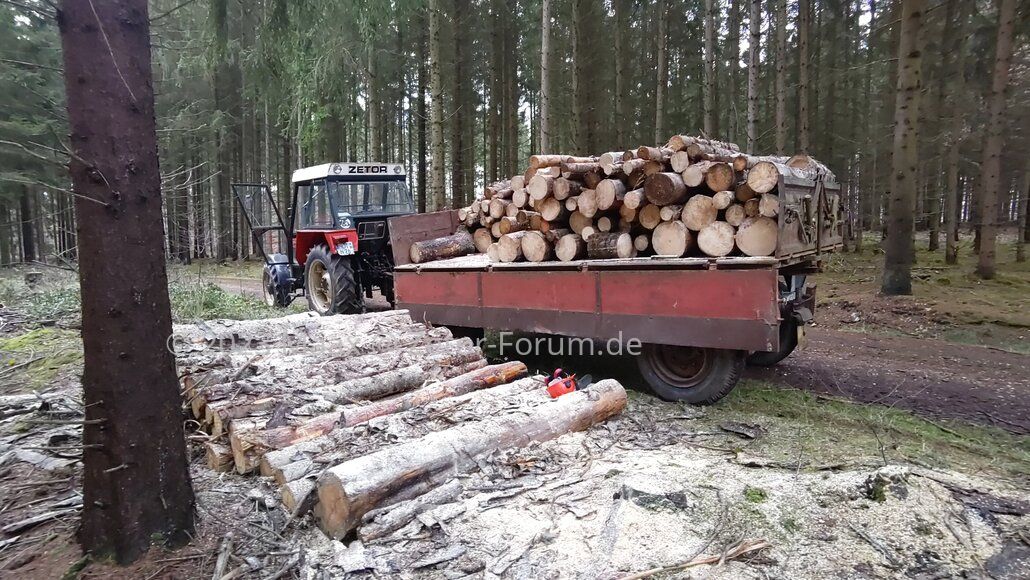 Feuerholz fahren